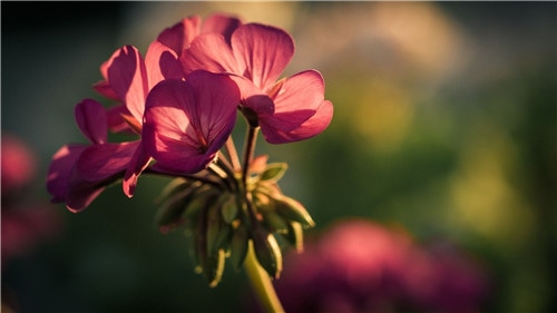 1589950321606270.jpg 父亲节描写父爱作文800字叙事精选5篇