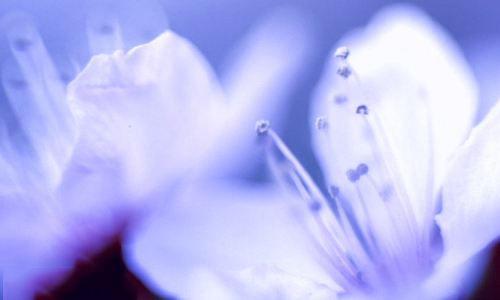 庆祝新中国七十华诞_弘扬新时代尊师风尚优秀作文