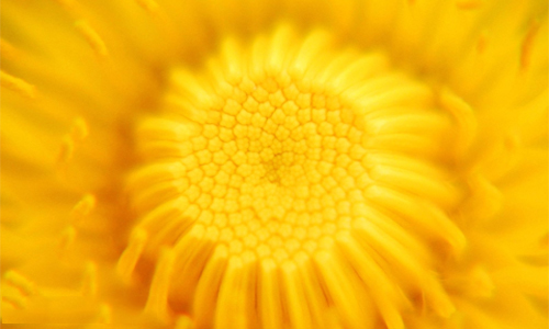 中秋节给家人送什么礼物_回家就是最好的礼物