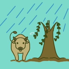 为什么每年清明节前后都会下雨