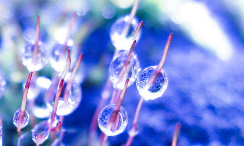 2019-2020学年度天津中小学寒假放假时间安排_寒假放假注意事项