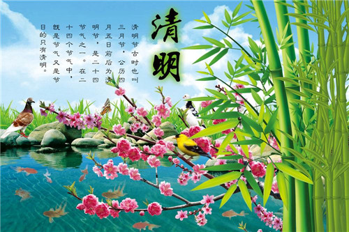 清明节祭奠活动心得及感想5篇最新