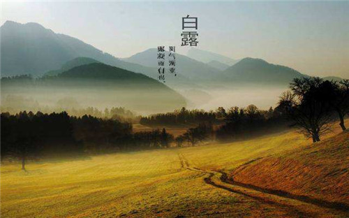 1598250908817512.jpg timg (1).jpg