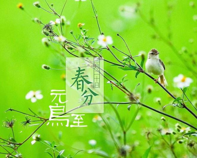 描写春分节气的诗句诗词_春分节气的经典谚语