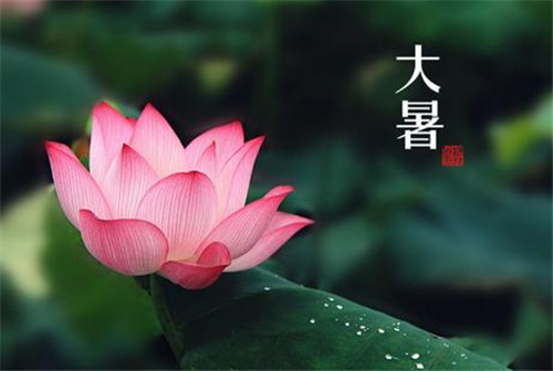 大暑节气是什么意思 最新大暑节气是什么意思