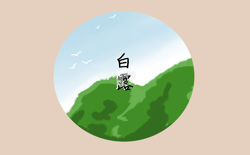 白露节气适合吃什么菜