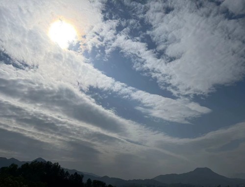 三伏天的由来和习俗 三伏天的由来和习俗_三伏天的注意事项