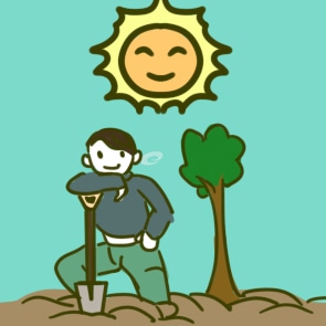 植树节手抄报内容摘抄8张