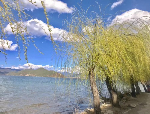 2023大暑祛湿食疗方法