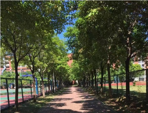 处暑养生吃什么_处暑节气常识