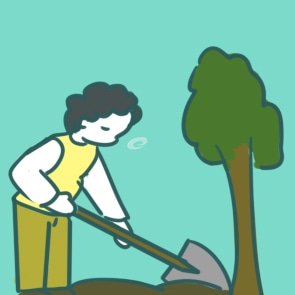 我国的植树节是哪天设定的