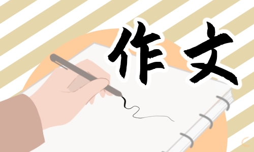 学雷锋精神优秀作文800字