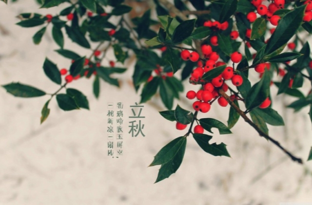 1596703253417913.jpg 适合立秋发朋友圈的句子精选大全