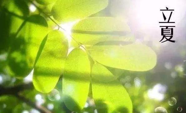 立夏节气的含义是什么_立夏节气是什么意思