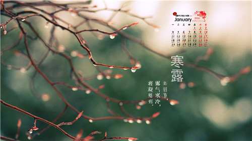 寒露养生禁忌_寒露饮食推荐