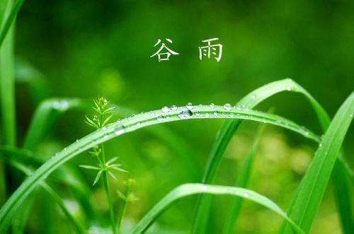 2022谷雨养生常识_谷雨吃什么养生 2022谷雨养生常识_谷雨吃什么养生