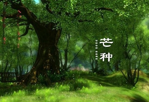 1589514080883069.jpg 二十四节气芒种谚语有哪些_芒种节气谚语