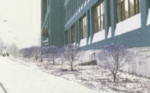 《林教头风雪山神庙》教案（通用7篇）