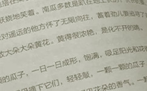 有关语文教案模板集锦6篇