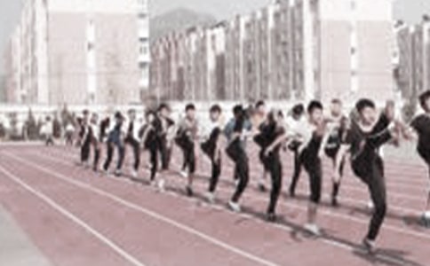 高中体育教学教案模板范文