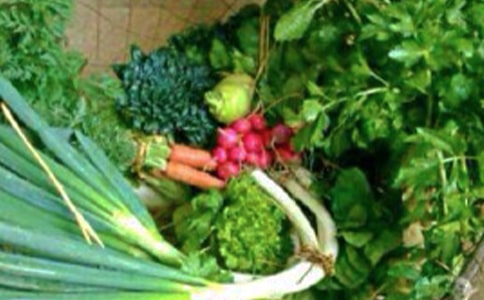 心理健康心得体会优秀范文6篇