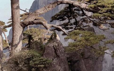 《黄山奇石》说课稿