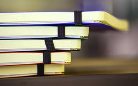 高二语文一名物理学家的教育历程教案