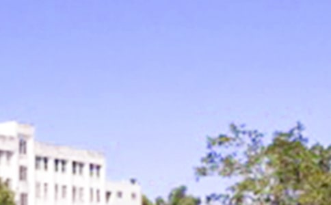 早安温馨问候语录